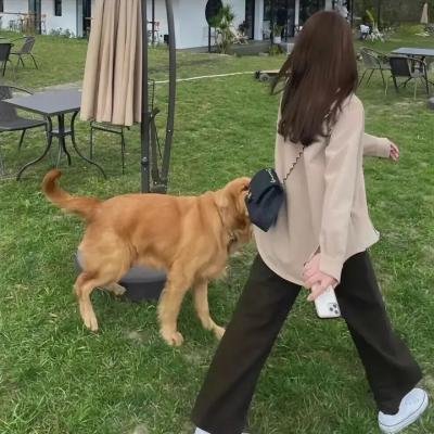 一支丁香花